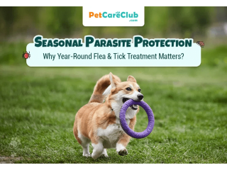 seasonal-parasite-protection-for-dogs-flea-tick-protection-for-dogs-small-0