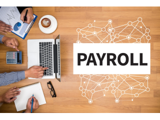outsourcing-payroll-provider-by-mercurius-associates-llp-small-0