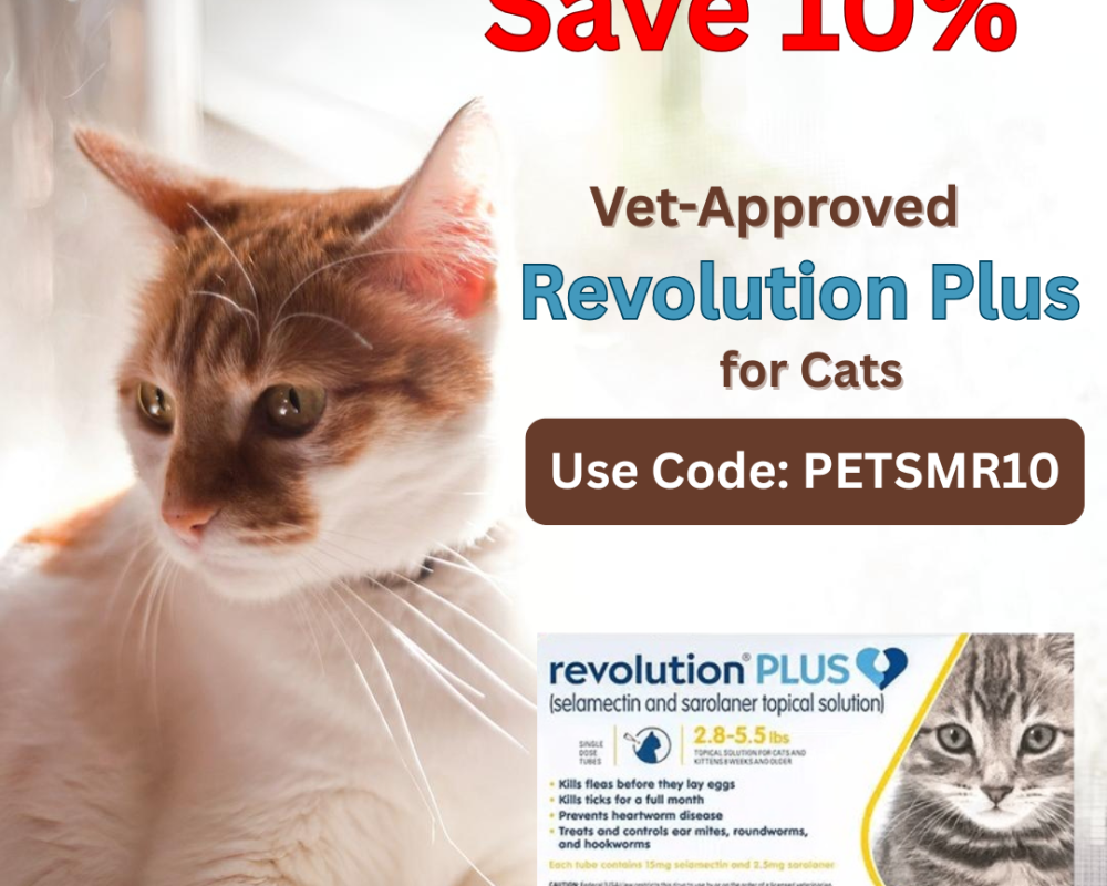 save-10-on-vet-approved-revolution-plus-for-cats-pet-care-club