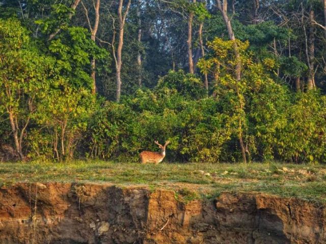nepal-wildlife-travel-package-safari-eco-tour-experience