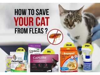 save-10-on-revolution-for-cat-best-flea-tick-prevention-for-cats-small-0