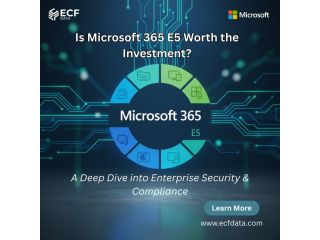is-microsoft-365-e5-worth-it-in-2025-heres-what-enterprises-need-to-know-small-0