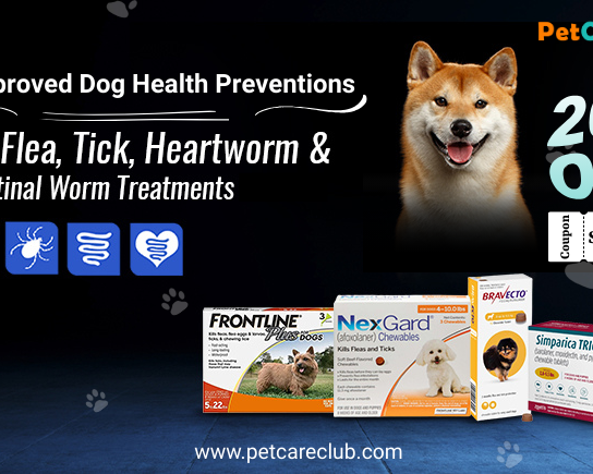 vet-approved-dog-flea-tick-worm-prevention-simparica-frontline-nexgard-etc