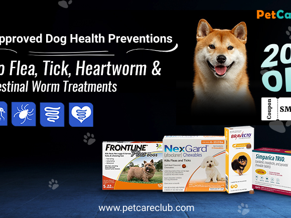vet-approved-dog-flea-tick-worm-prevention-simparica-frontline-nexgard-etc