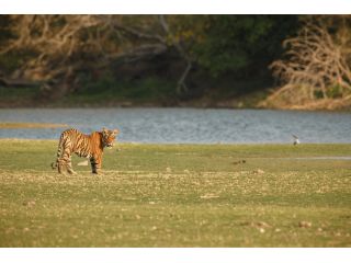 the-top-national-parks-to-visit-in-india-small-0