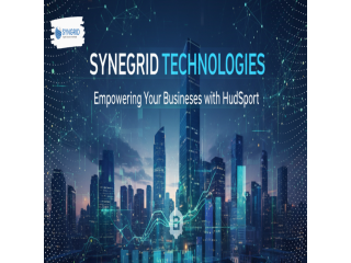 hubspot-crm-setup-automation-support-by-syngrid-technologies-small-0