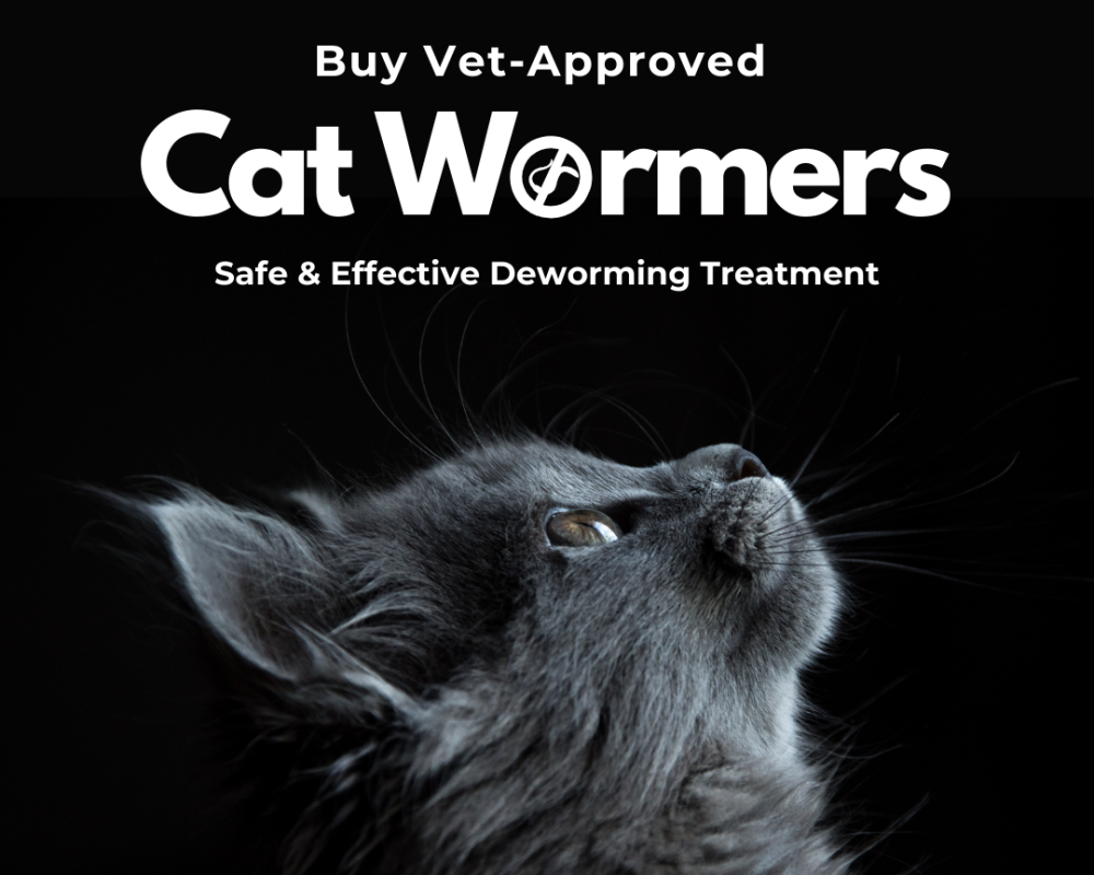 buy-vet-approved-cat-wormers-online-safe-effective-deworming-treatment