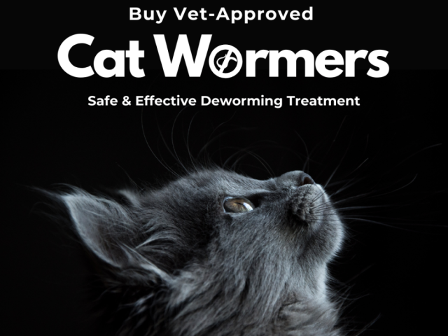 buy-vet-approved-cat-wormers-online-safe-effective-deworming-treatment