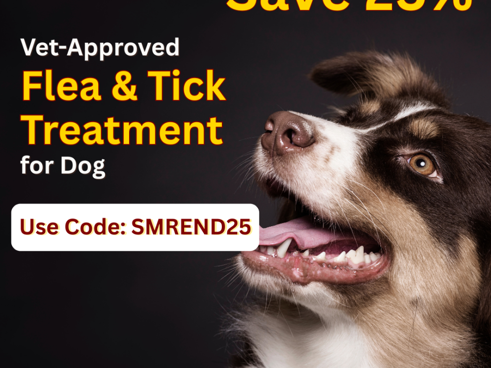 find-the-best-flea-tick-treatment-for-your-dog-big-0