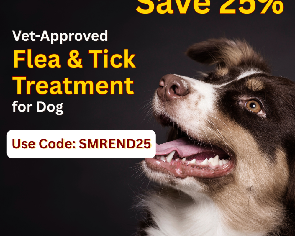 find-the-best-flea-tick-treatment-for-your-dog