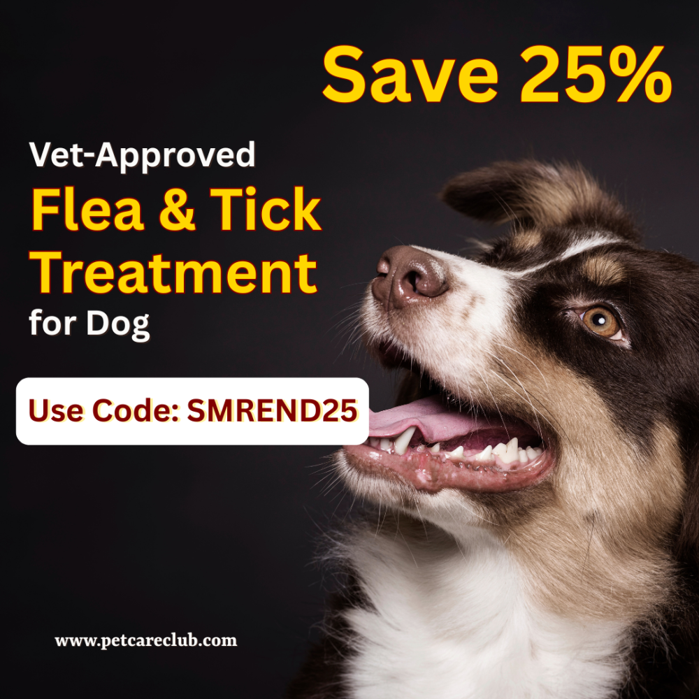 find-the-best-flea-tick-treatment-for-your-dog-big-0