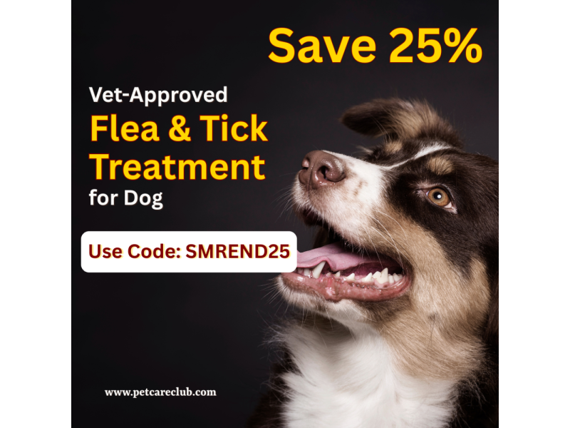 find-the-best-flea-tick-treatment-for-your-dog-small-0