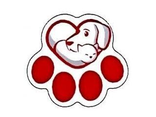 veterinary-care-in-north-las-vegas-trusted-compassionate-small-0
