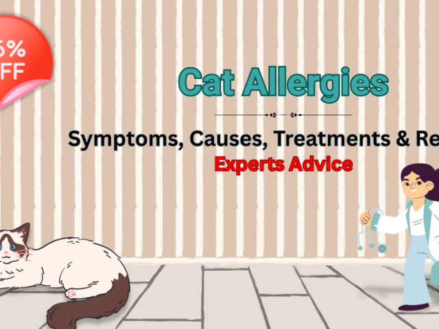 struggling-with-cat-allergies-relief-is-possible