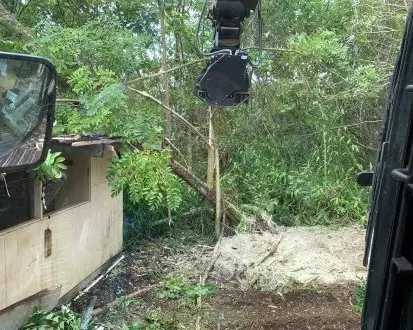 forest-mulching-for-property-maintenance-arborist-services