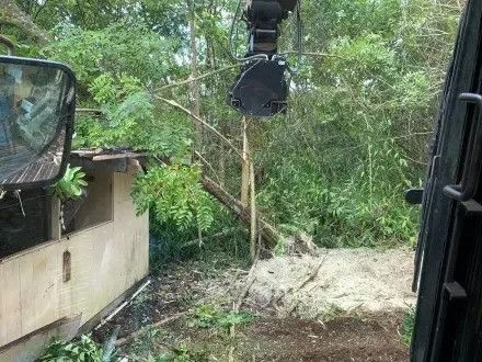 forest-mulching-for-property-maintenance-arborist-services