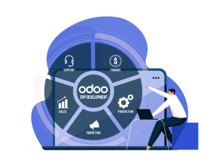 professional-odoo-erp-development-company-small-0