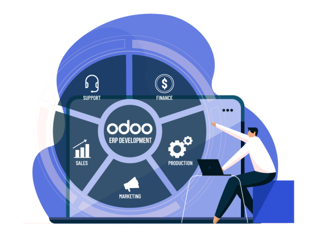 professional-odoo-erp-development-company