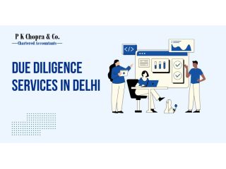 professional-financial-due-diligence-in-delhi-ncr-small-0