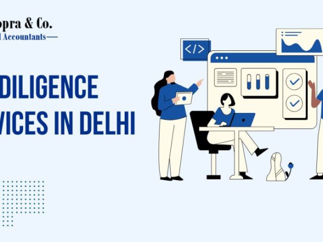 professional-financial-due-diligence-in-delhi-ncr