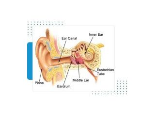 how-the-ear-works-understanding-hearing-protection-basics-small-0