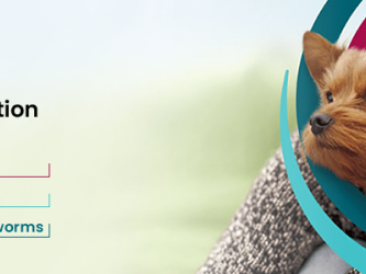 save-60-off-on-simparica-trio-for-dogs-limited-time-offer