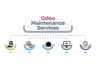 professional-odoo-maintenance-services-small-0