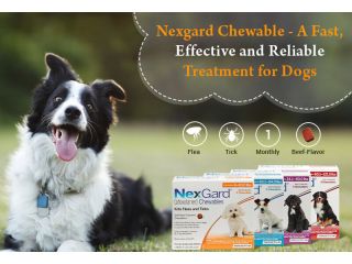 discover-how-to-select-the-correct-nexgard-product-for-dogs-and-puppies-and-buy-it-safely-small-0