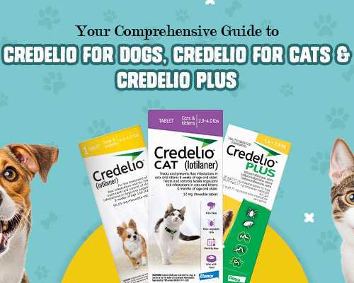 protect-from-fleas-ticks-credelio-with-20-off