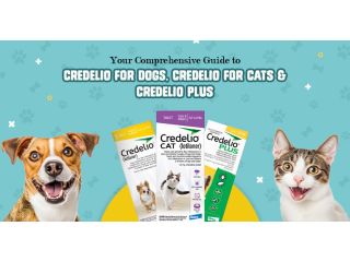protect-your-dog-from-fleas-ticks-choose-credelio-with-20-off-small-0