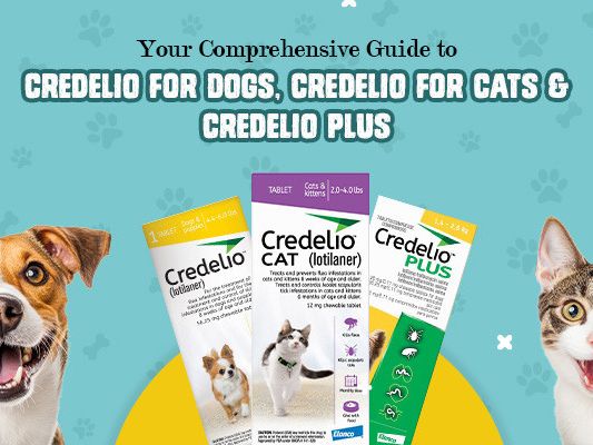 protect-your-dog-from-fleas-ticks-choose-credelio-with-20-off