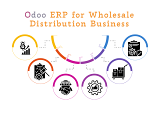 odoo-for-wholesale-distribution-business-small-0