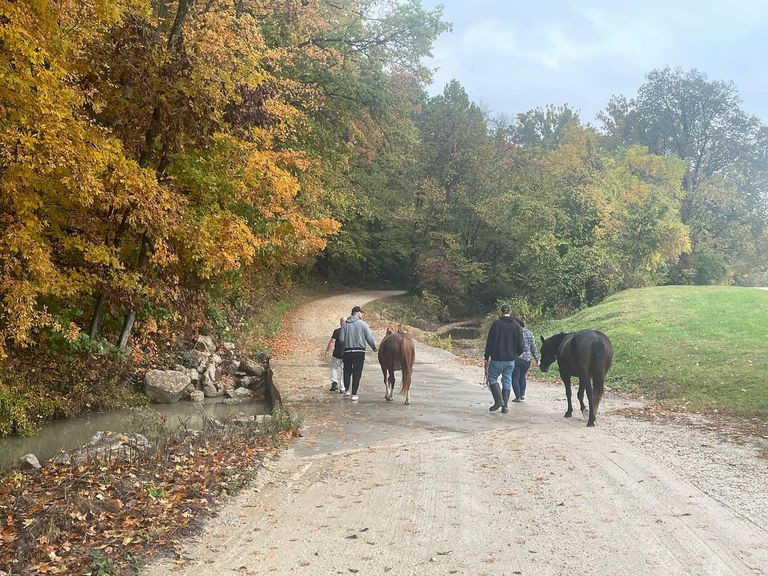 healing-in-the-heartland-how-equine-therapy-supports-recovery-at-learn-to-live-recovery-big-2