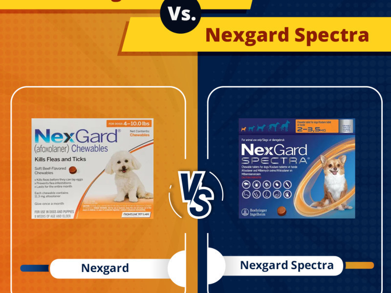 nexgard-vs-nexgard-spectra-which-is-best-for-your-dog-big-0