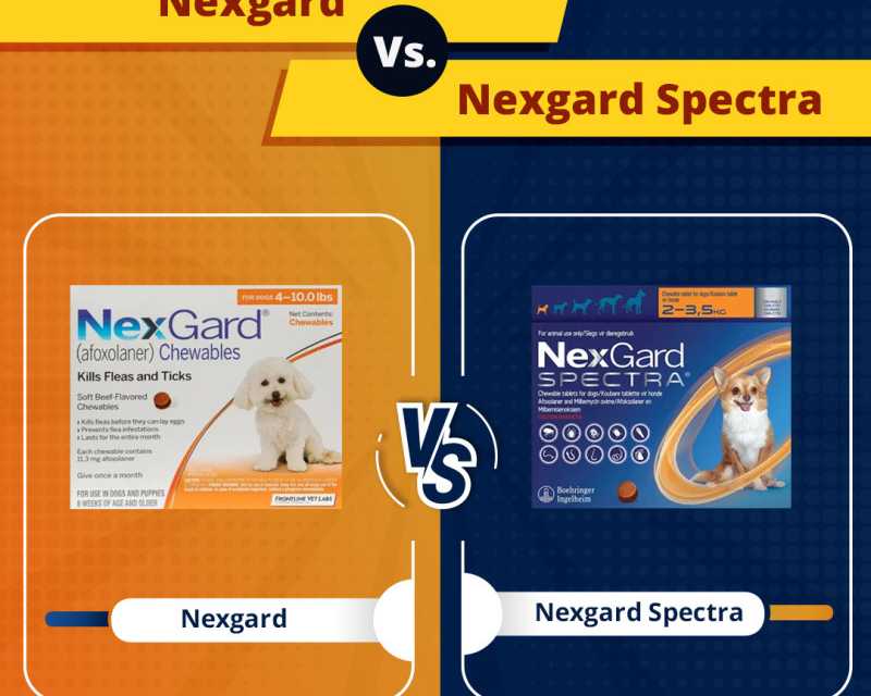 nexgard-vs-nexgard-spectra-which-is-best-for-your-dog