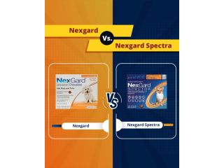 nexgard-vs-nexgard-spectra-which-is-best-for-your-dog-small-0