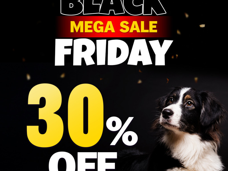 black-friday-sale-get-up-to-80-off-free-shipping-big-0