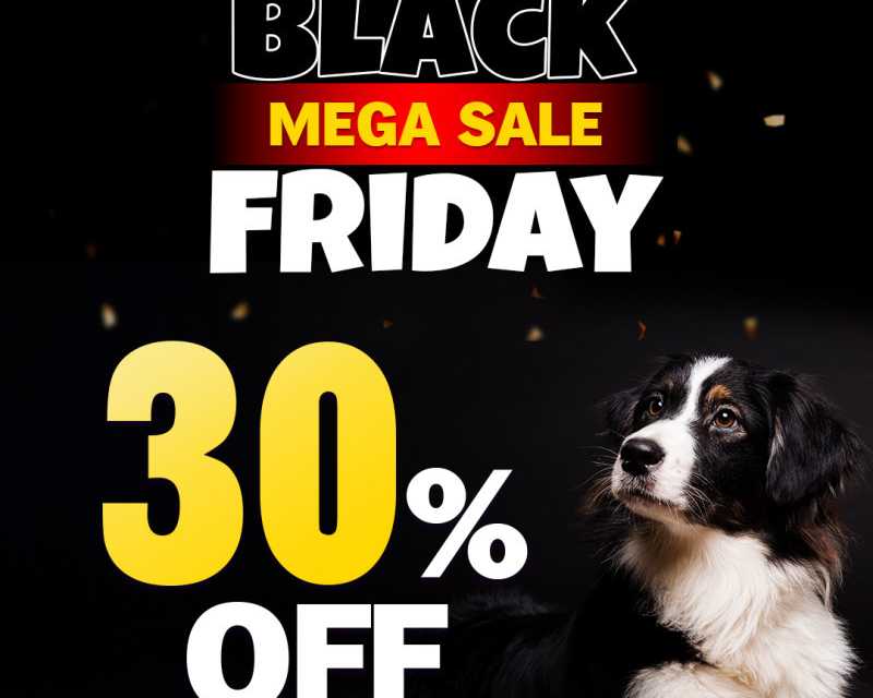 black-friday-sale-get-up-to-80-off-free-shipping