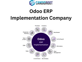 best-odoo-erp-implementation-company-small-0