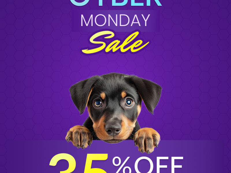 cyber-monday-mega-pet-care-sale-35-off-sitewide-big-0