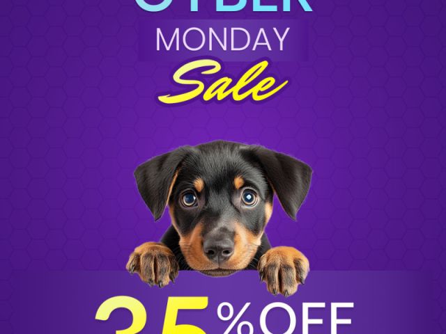 cyber-monday-mega-pet-care-sale-35-off-sitewide