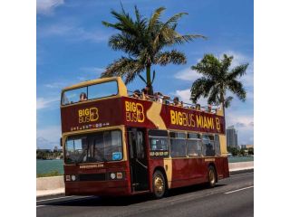 book-miami-hop-on-hop-off-bus-tour-at-affordable-prices-small-1