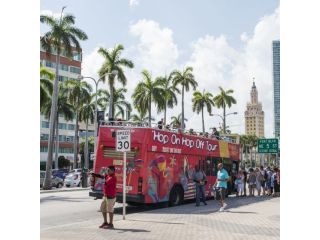 book-miami-hop-on-hop-off-bus-tour-at-affordable-prices-small-0
