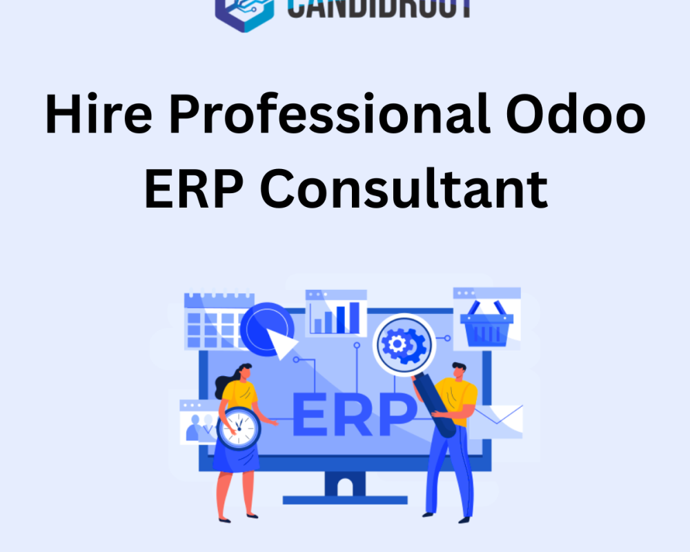 hire-professional-odoo-erp-consultant