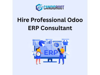hire-professional-odoo-erp-consultant-small-0