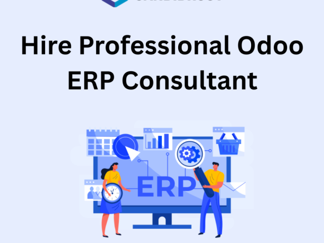 hire-professional-odoo-erp-consultant