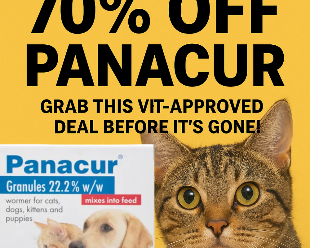 70-off-panacur-for-cats-grab-this-vet-approved-deal-before-its-gone
