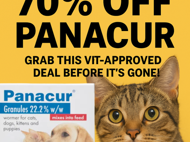 70-off-panacur-for-cats-grab-this-vet-approved-deal-before-its-gone