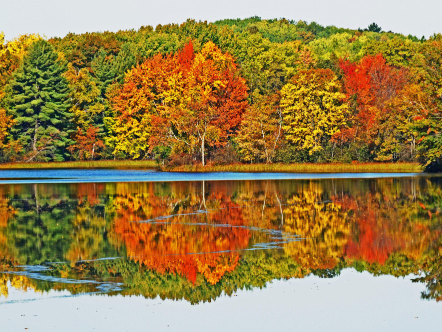 scenic-river-days-canoe-rental-wisconsin-big-1