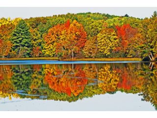 scenic-river-days-canoe-rental-wisconsin-small-1